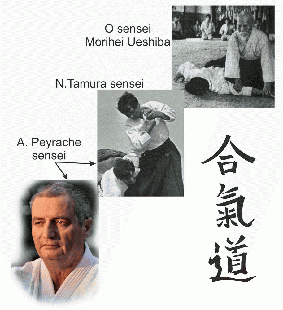 aïkido le dojo Aikido-Lyon-Tassin-69