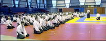 Lors d'un stage aïkido celui du dojo Lyon 69 Tassin Aïkido