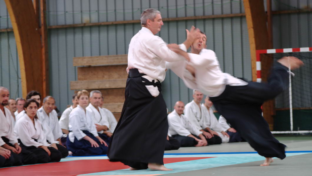 Maître d'aïkido fondateur du dojo mondial Epa-Ista Alain Peyrache