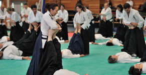 Groupe aïkido a Lyon centre 69