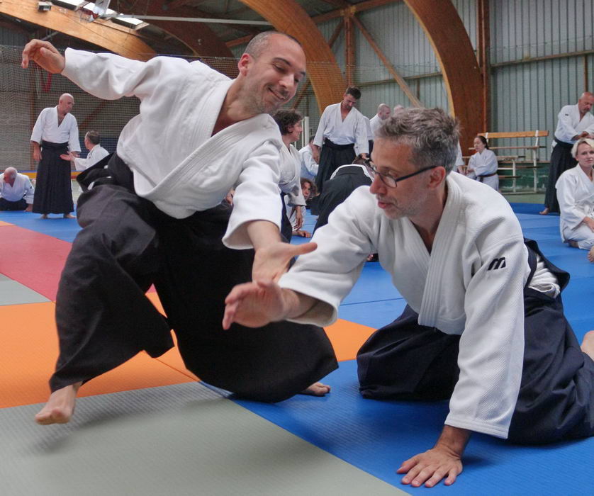 Aïkido Mich LN dojo de Lyon 69 Tassin aikido un art martial de self défense