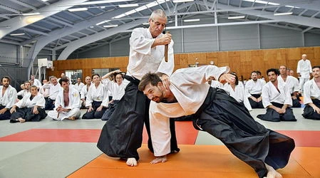 Alain Peyrache sensei - Élève direct de Tamura sensei