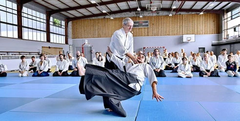 Alain Peyrache Sensei - Maître d'Aïkido Traditionnel Lyon, élève direct de Tamura sensei