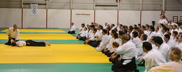 Deshi aikido 