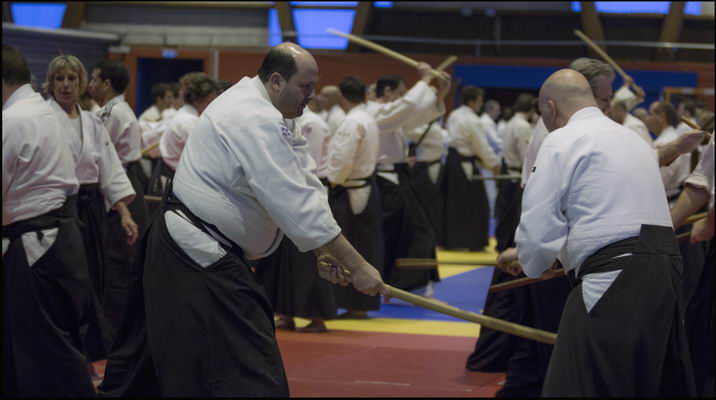 Stage aïkido dojo à LYON 6 ème