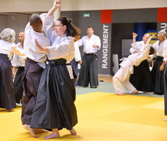 Aïkido photo Alain Peyrache sensei