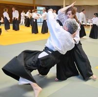 Aïkido photo Alain Peyrache sensei