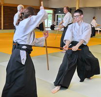 Aïkido photo Alain Peyrache sensei