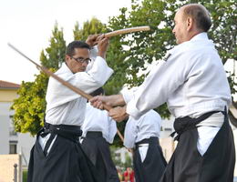 Aïkido photo Alain Peyrache sensei