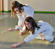 Aïkido boken dojo de Bourg en Bresse 01 Alain Peyrache Voisin Sardières